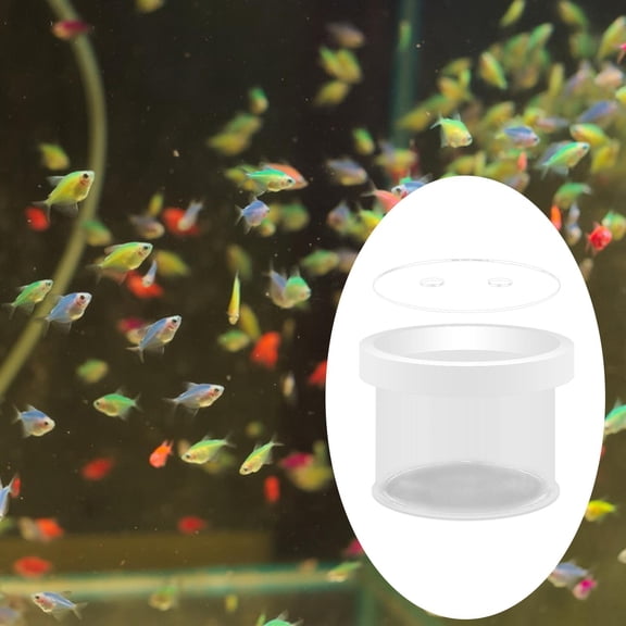 DOLITY Breeder Round Transparent Divider Box Hatching for Baby es 15cmx12cm