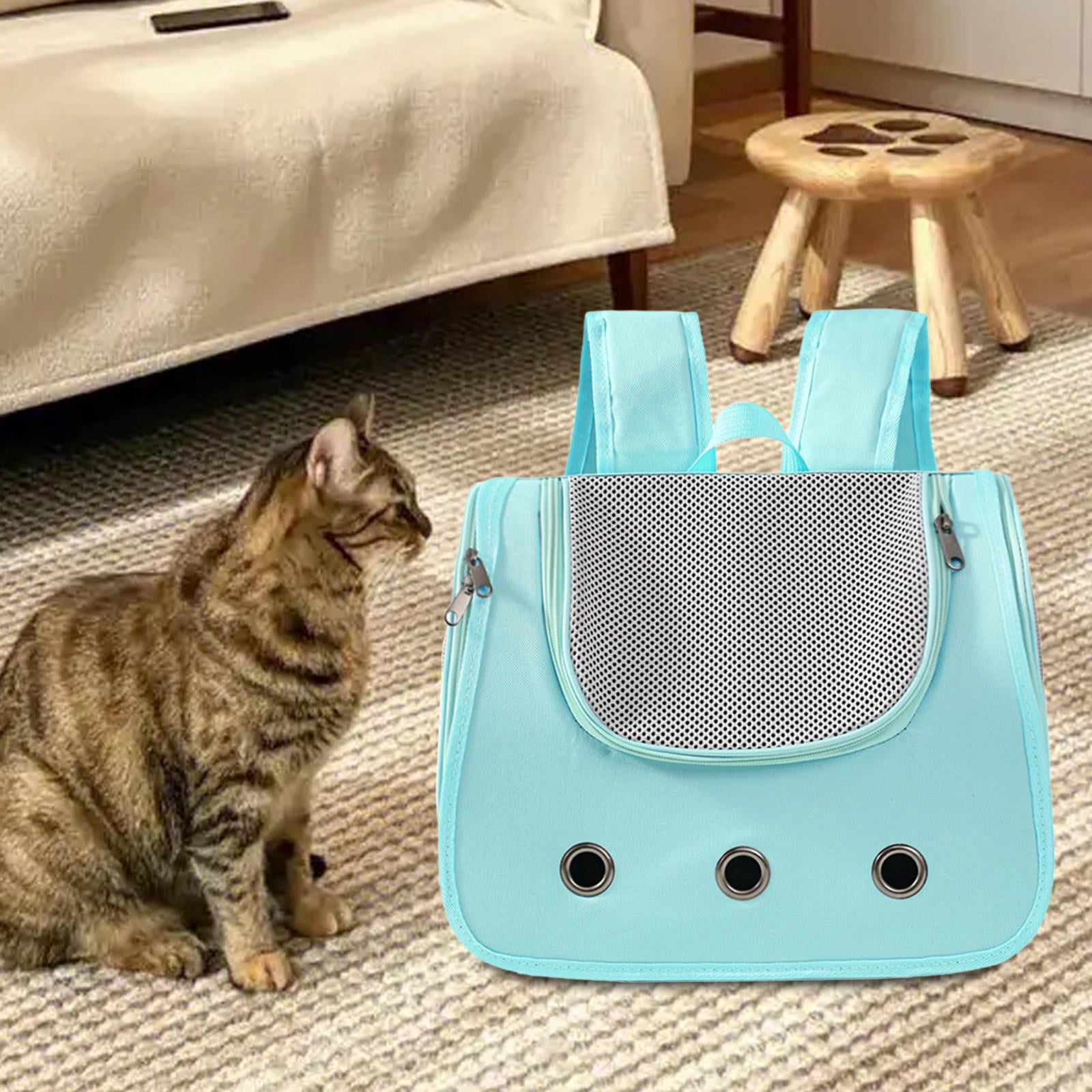 Petrip cat backpack discount