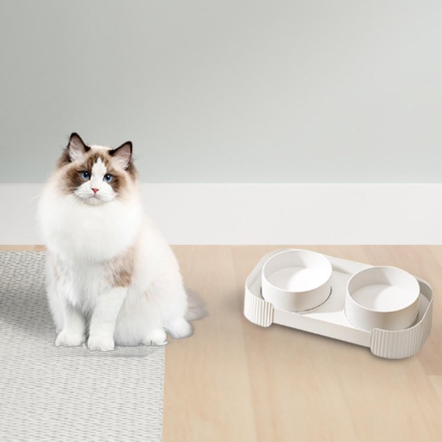 DOLITY Ceramic Elevated Cat Bowls Double Cat Food and Water Bowl Set