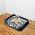 thumbnail image 1 of DOLITY Indoor Dog Potty Tray Indoor Dogs Potty Train Pads for Small and Medium Dogs blue, 1 of 8