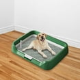 thumbnail image 1 of DOLITY Indoor Dog Potty Tray Indoor Dogs Potty Train Pads for Small and Medium Dogs green, 1 of 8