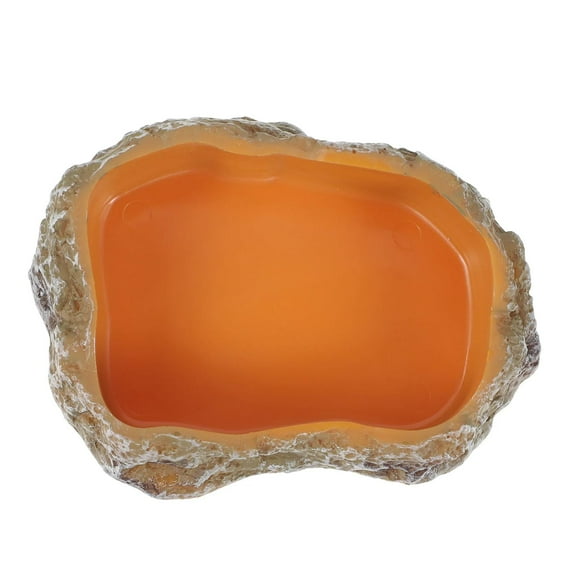 DOLITY Reptile Water Bowls Amphibian Feeding Bowl for Bearded Dragon Tortoise Snake XS