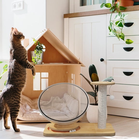 DOLITY Space Capsule Cat Bed Indoor Cats Bed with Balls Toy Cat Nest for Kitty Cats Dia 37cm