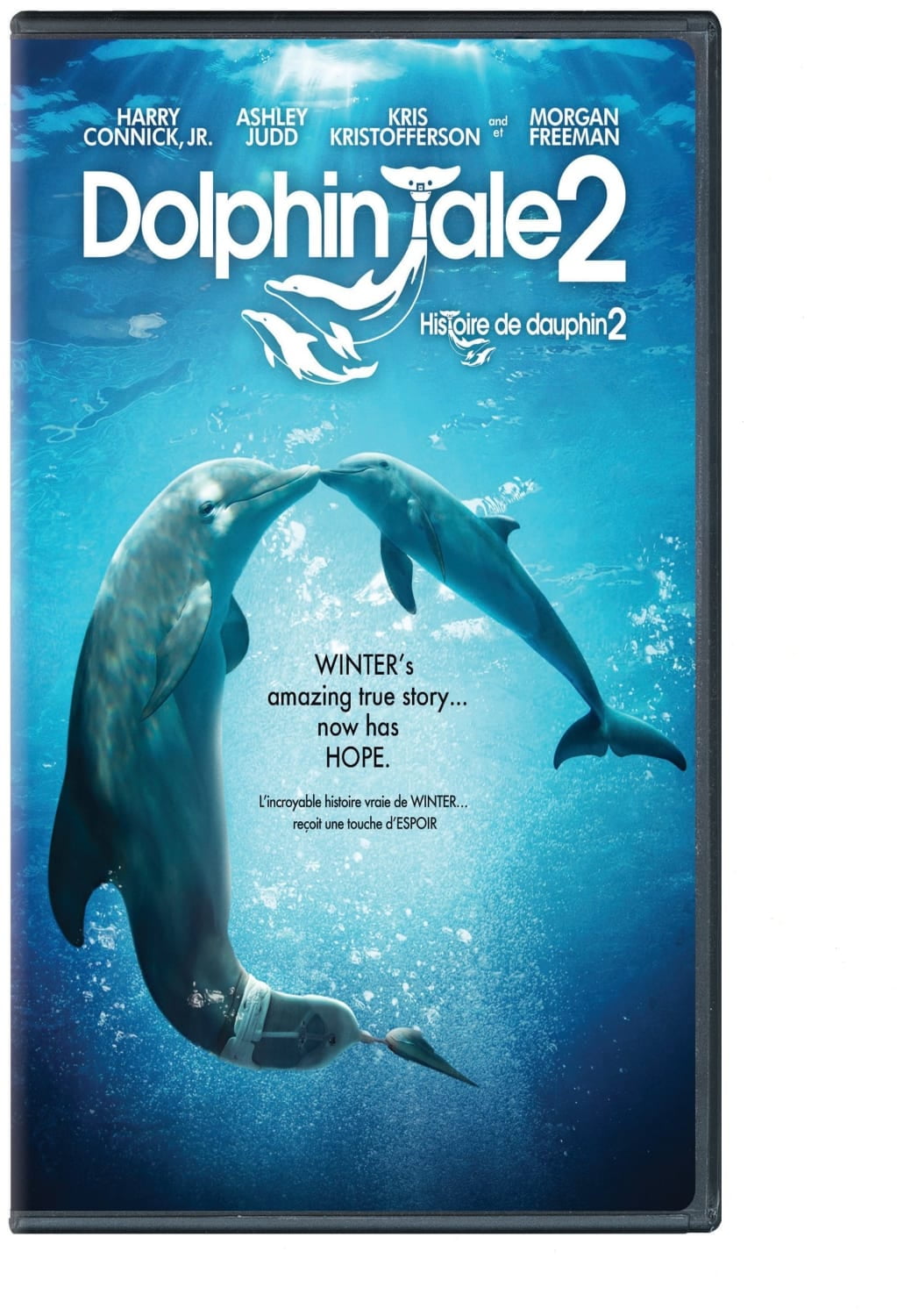 Dolphins Tale