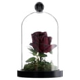 thumbnail image 1 of Clear Dome with Rose Decoration, Multicolor, 7.25", Halloween by Way To Celebrate, 1 of 4