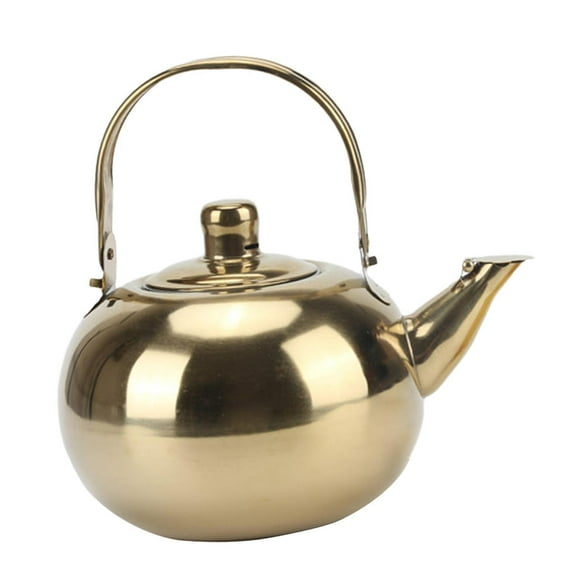 DOMELAY Coffee Pot Gifts Campfire Cook Pot Spout with Lid Stainless Steel Tea Kettle 1.6L