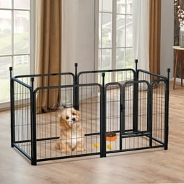 Dog fence walmart hotsell