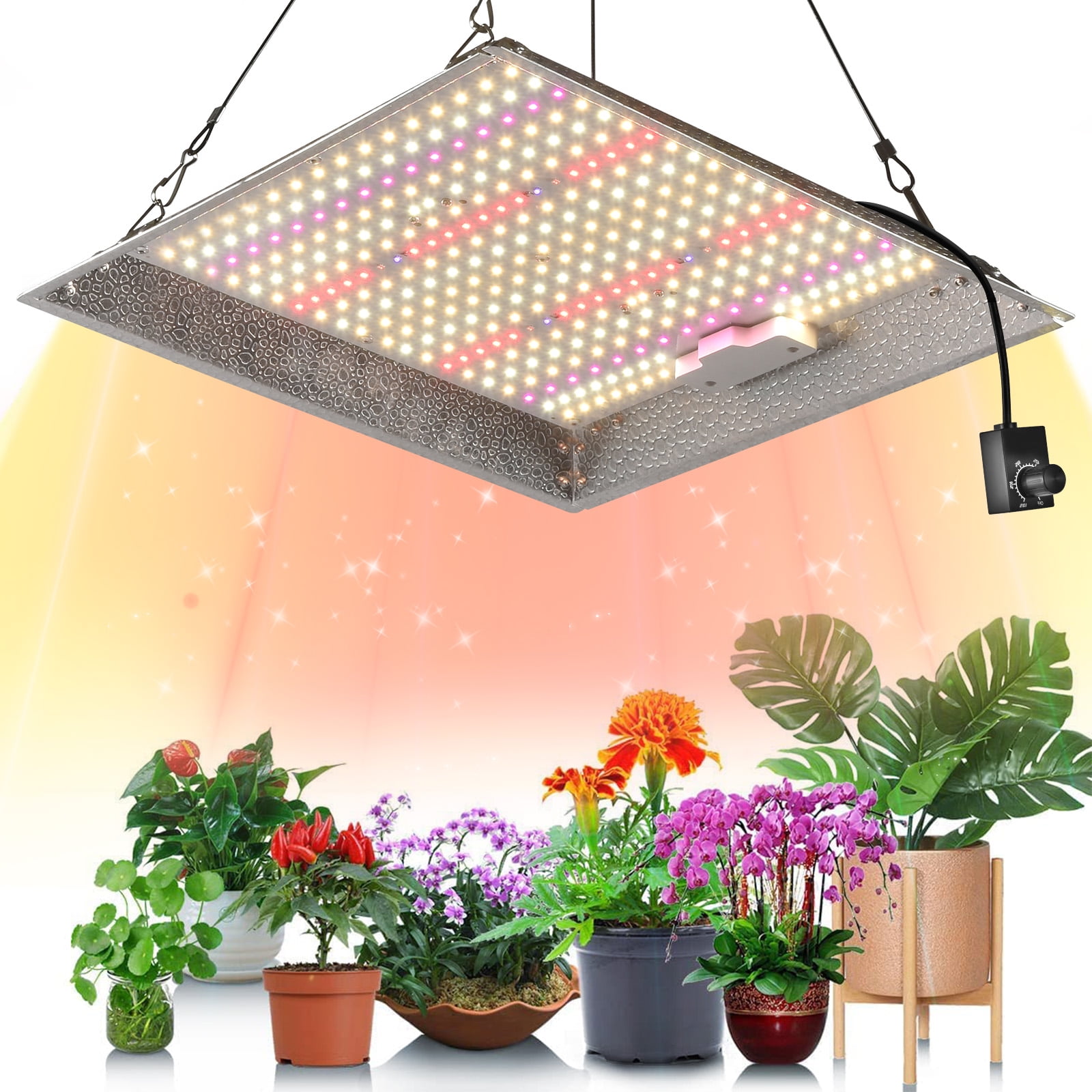 DONGPAI 100W Full Spectrum LED Grow Light with Timer & 5-Level Dimming ...