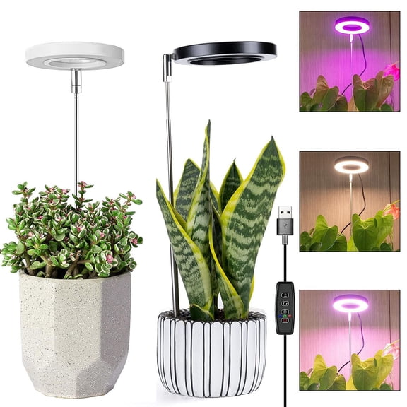 DONGPAI Grow Lights for Indoor Plants, Full Spectrum LED Halo Plant Light with Stand Height Adjustable Auto Timer, 10 Dimmable Levels 3 Colors Red Blue White Spectrum for Indoor Plants Growing