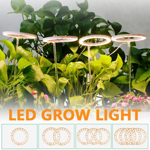 DONGPAI LED Plant Grow Light Angel Ring Plant Halo Light, Full Spectrum ...