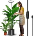 thumbnail image 1 of DONGPAI LED Plant Grow Lights for Indoor Plants, 13.7-61.1inch Height Full Spectrum 72LEDs Adjustable Large Growing Lamp with Auto On/Off Timer Dimmable Brightness, 1 of 8