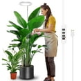 thumbnail image 1 of DONGPAI LED Plant Grow Lights for Indoor Plants, 13.7-61.1inch Height Full Spectrum 72LEDs Adjustable Large Growing Lamp with Auto On/Off Timer Dimmable Brightness, 1 of 8