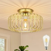 DONGPAI Modern Gold Flush Mount Light Fixture 11.8" Industrial Metal Cage Semi Flush Mount Ceiling Light for Hallway Living Room Kitchen Entryway Farmhouse (With Bulb)