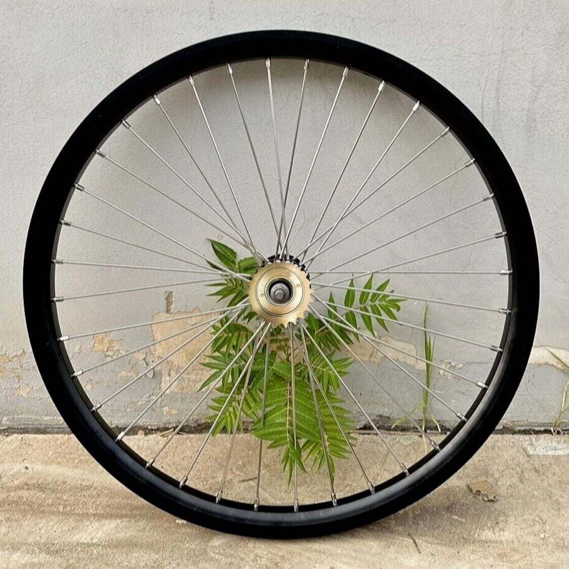 DONSP1986 Bike Wheel Rim 26" Rear Wheel, Brown