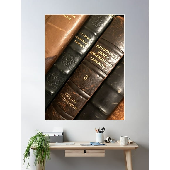 DOPAPRINT Antique Books Denmark Poster Wall Art, Modern Wall Decor NO FRAMED POSTER, Wall Art Home Decor, Haging Poster, Cute Birthday Gift