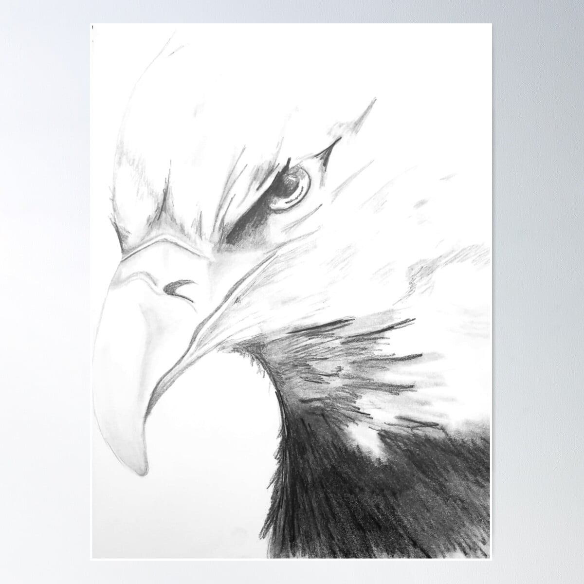 DOPAPRINT Bald Eagle Pencil Drawing Poster Wall Art, Bedroom NO FRAMED
