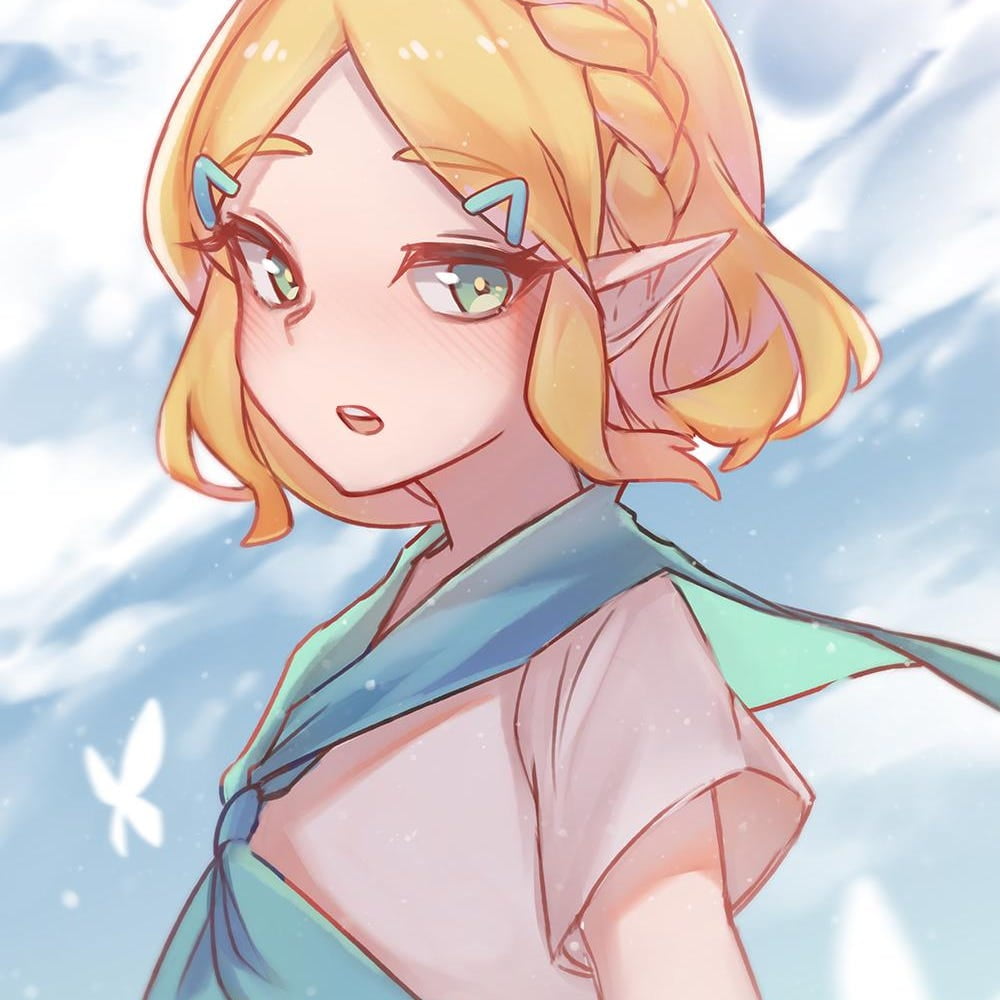 DOPAPRINT Botw Sailor Zelda Print, Legend Of Zelda: Breath Of The Wild ...