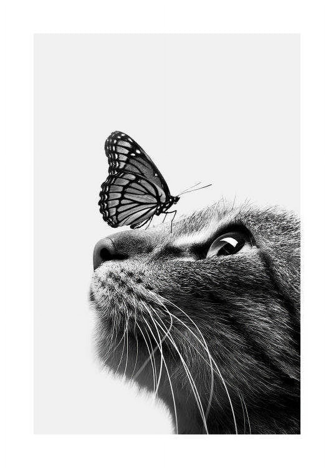 DOPAPRINT Butterfly Cat Print Wall Art Bedroom NO FRAMED POSTER Wall DOPAPRINT Butterfly Cat Print Wall Art Bedroom NO FRAMED POSTER Wall