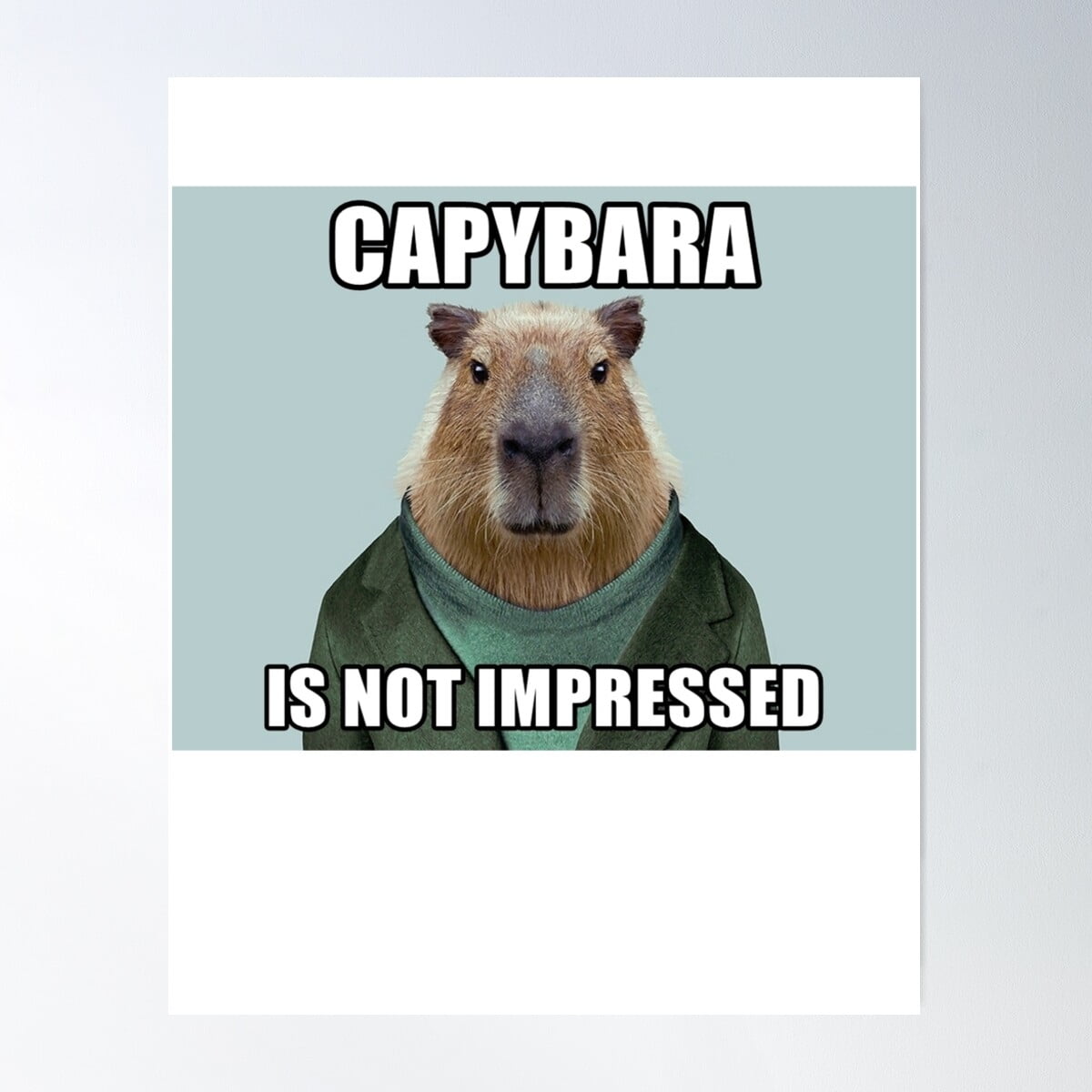 DOPAPRINT Capybara Is Not Impressed Poster Wall Art, Modern Wall Decor