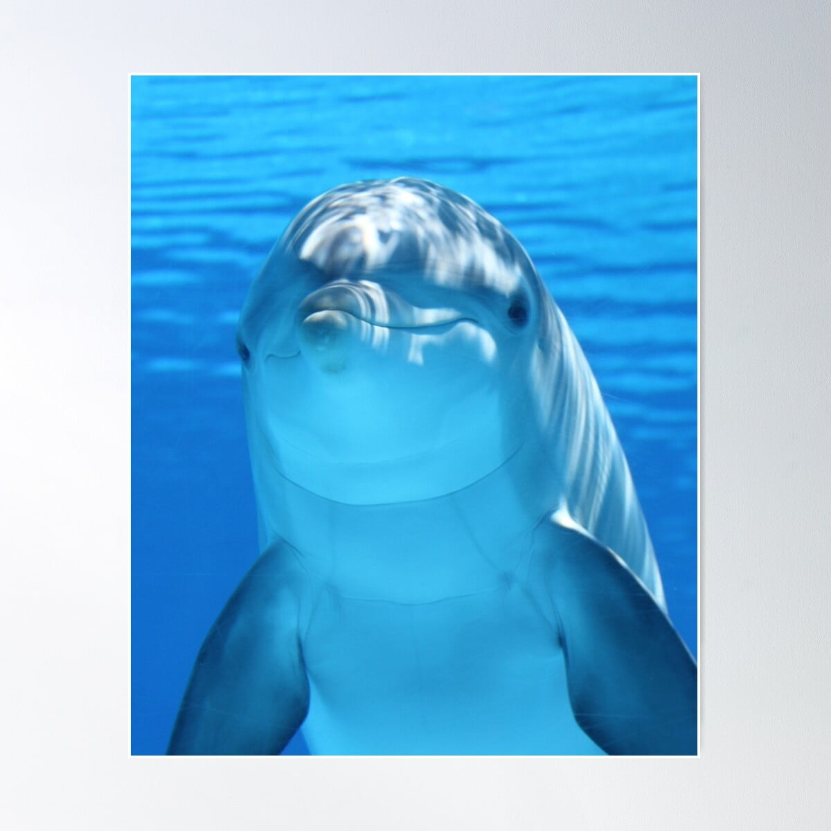 DOPAPRINT Cute Dolphine Underwater Poster Wall Art, Modern Wall Decor