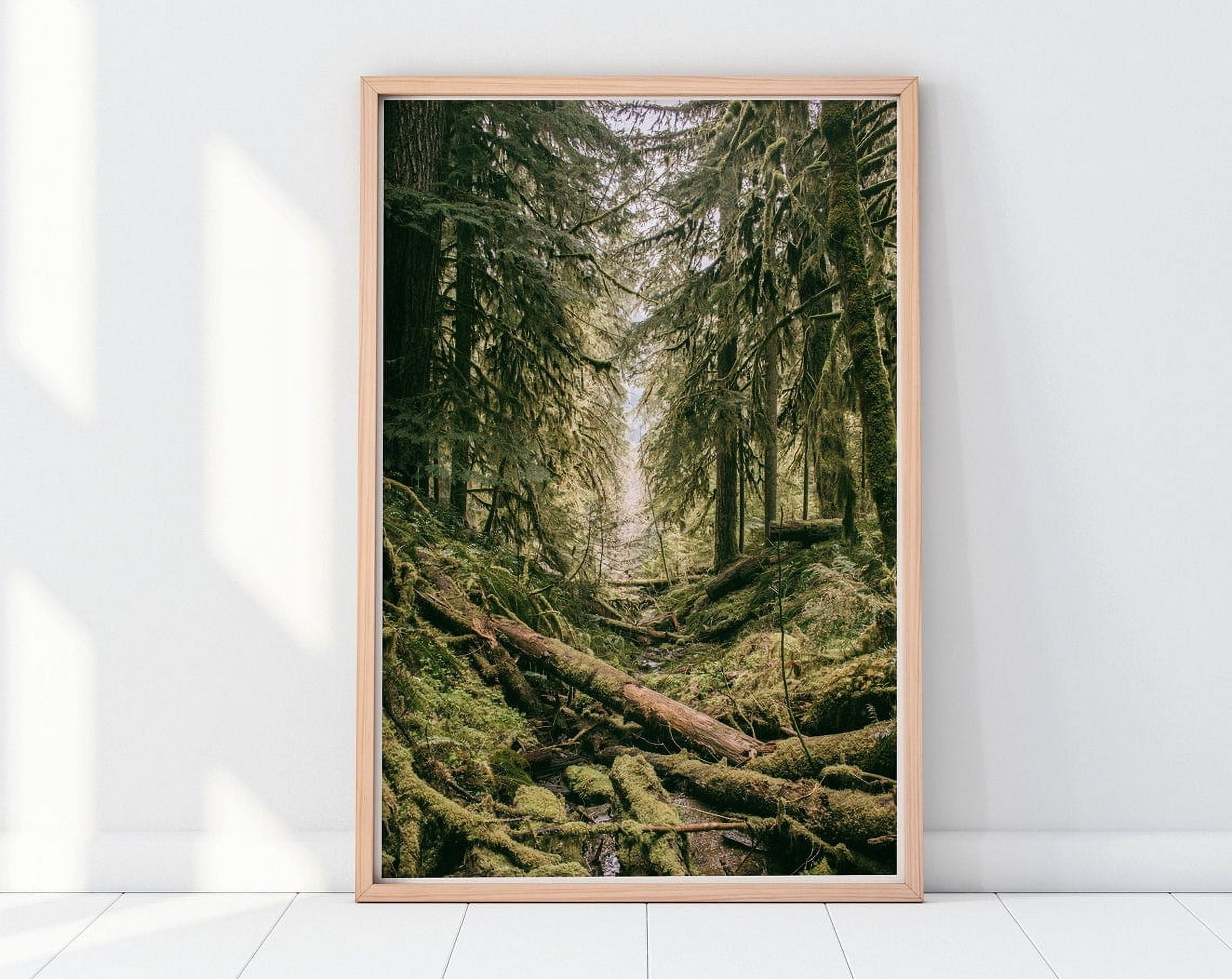 DOPAPRINT Dark Green Forest Print, Forest Landscape Photography, Wall