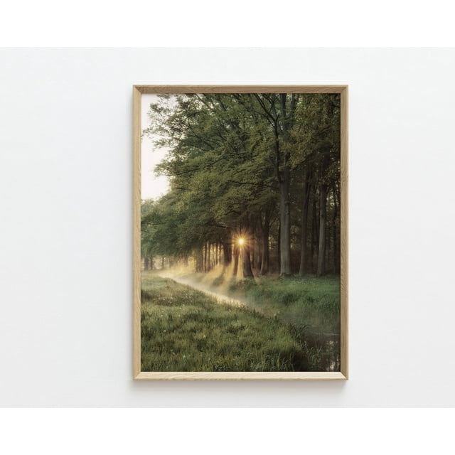 DOPAPRINT Dark Green Forest Print, Modern Landscape Photography, Dark