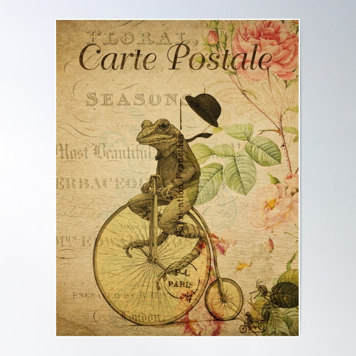 DOPAPRINT Frog Riding Bicycle Vintage Postcard Poster Wall Art, Modern