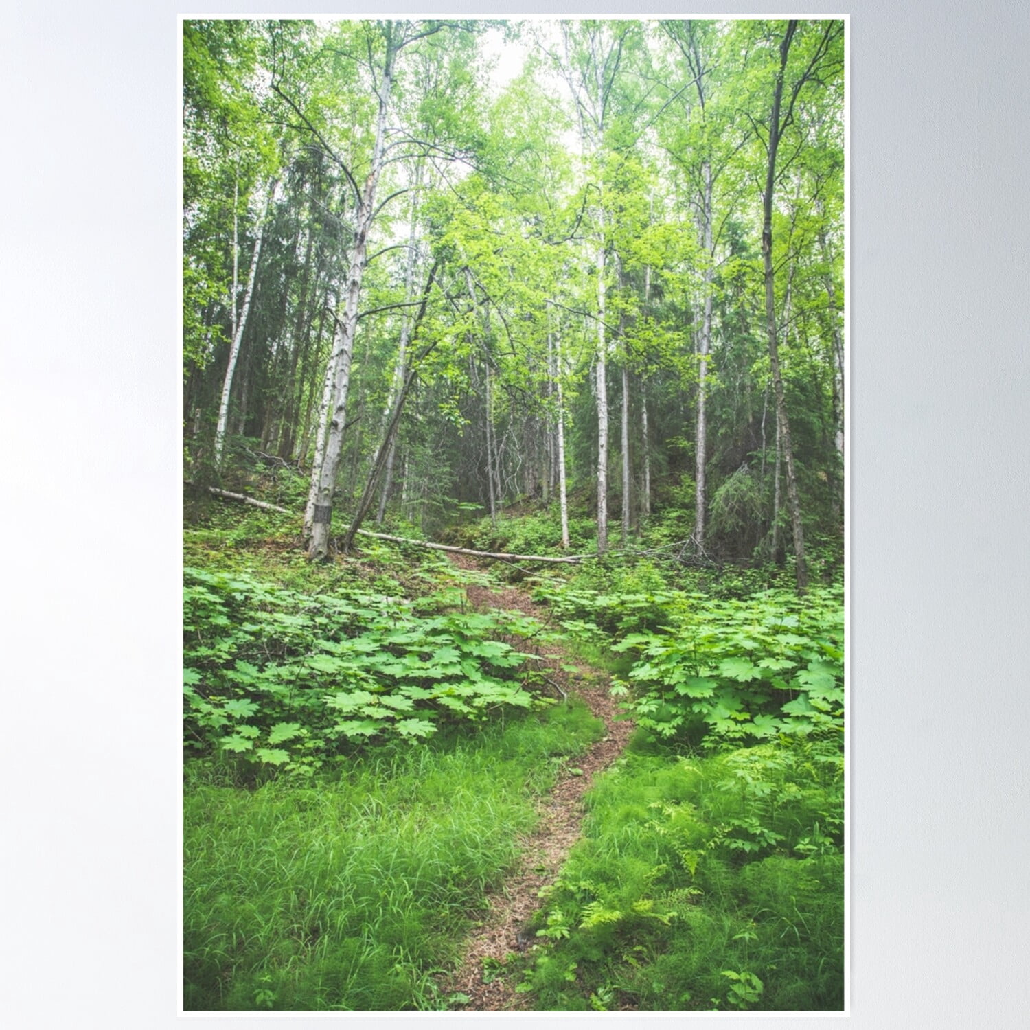 DOPAPRINT Long Forest Walk Fourteen Forest Road Trip Poster Wall Art, Modern Wall Decor NO ...