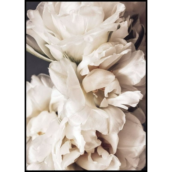 DOPAPRINT Peonies In Bloom Poster Wall Art Bedroom NO FRAMED POSTER DOPAPRINT Peonies In Bloom Poster Wall Art Bedroom NO FRAMED POSTER