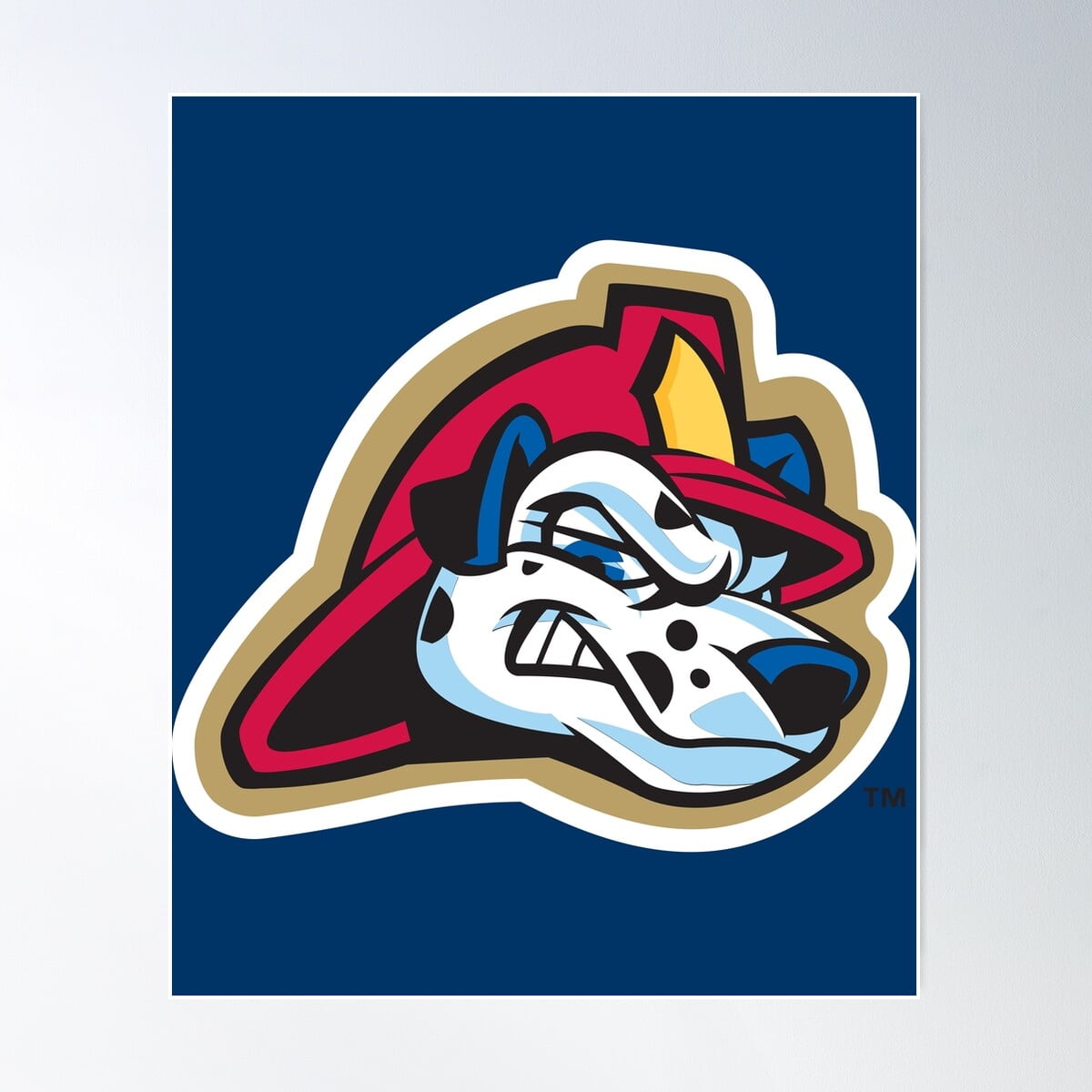 DOPAPRINT Peoria Chiefs Poster Wall Art, Bedroom NO FRAMED POSTER, Wall