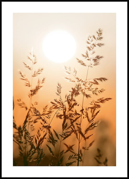 DOPAPRINT Sunset Grass Poster Wall Art, Bedroom NO FRAMED POSTER, Wall