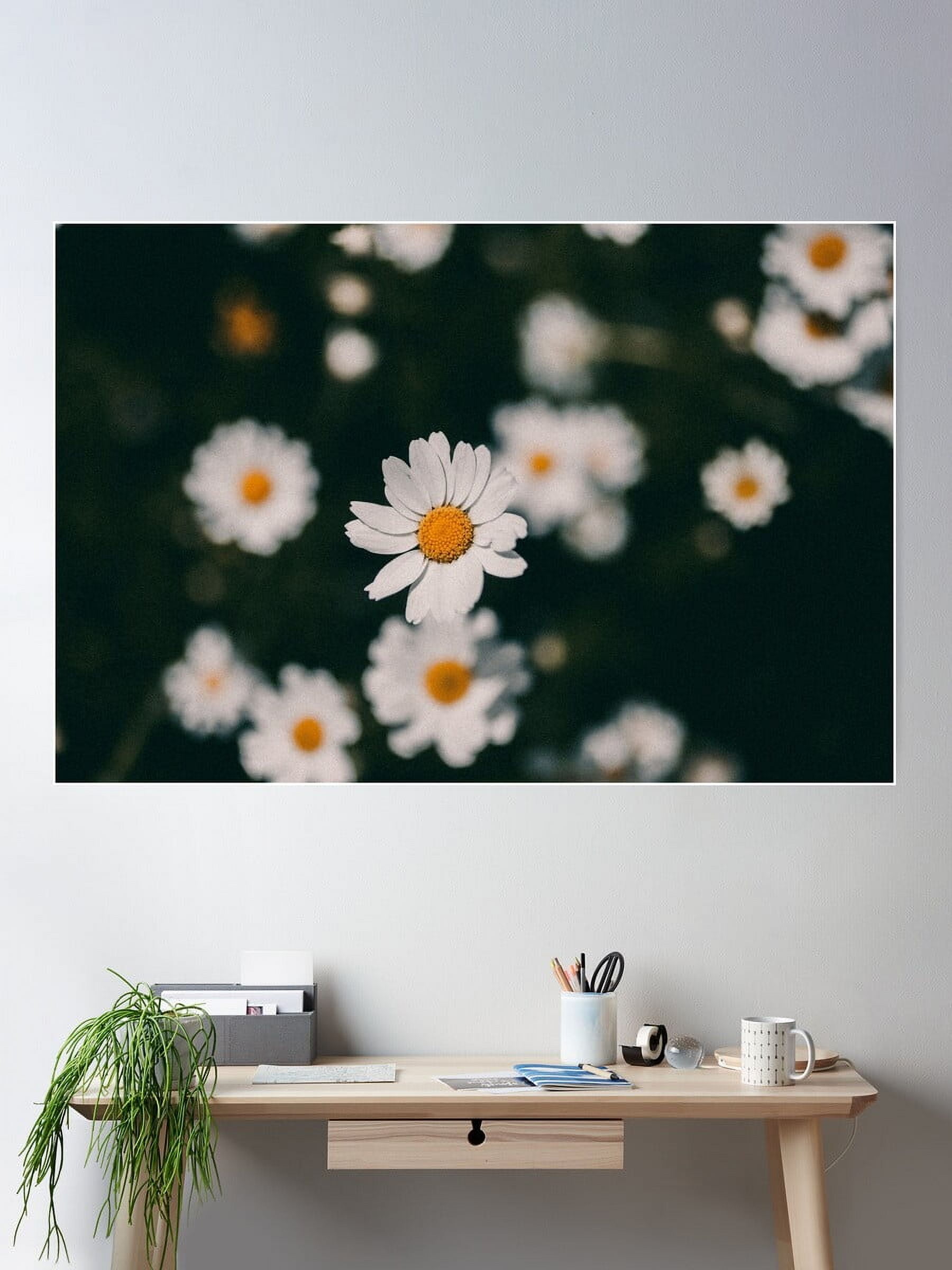 DOPAPRINT The Moody Daisy Poster Wall Art, Modern Wall Decor For Living Room Bedroom NO FRAMED ...
