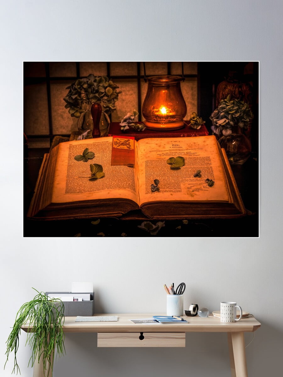 DOPAPRINT Vintage Book Reading Poster Wall Art, Modern Wall Decor For