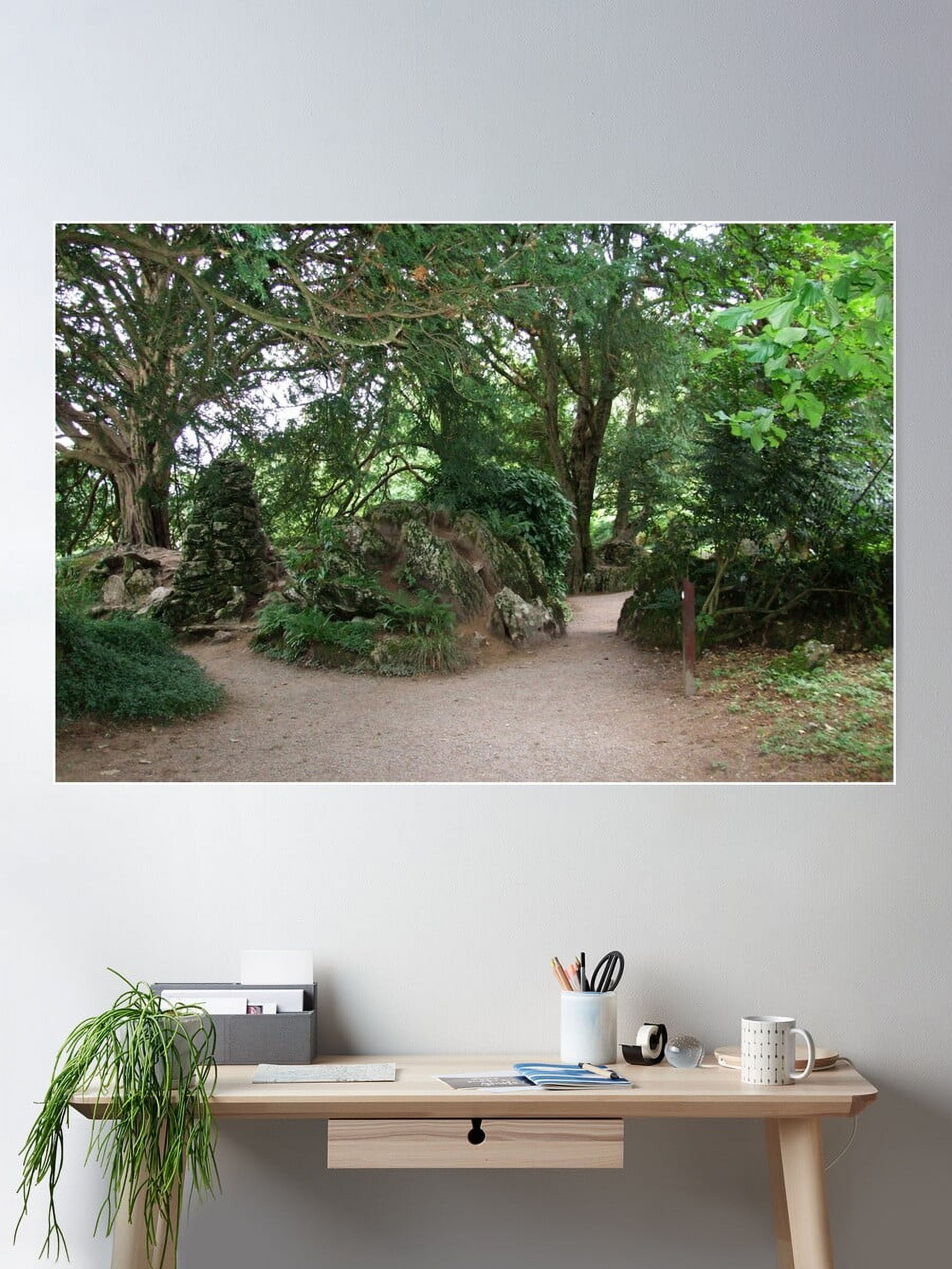 DOPAPRINT Witch'S Kitchen Rear View, Blarney, Cork, Ireland Poster Wall