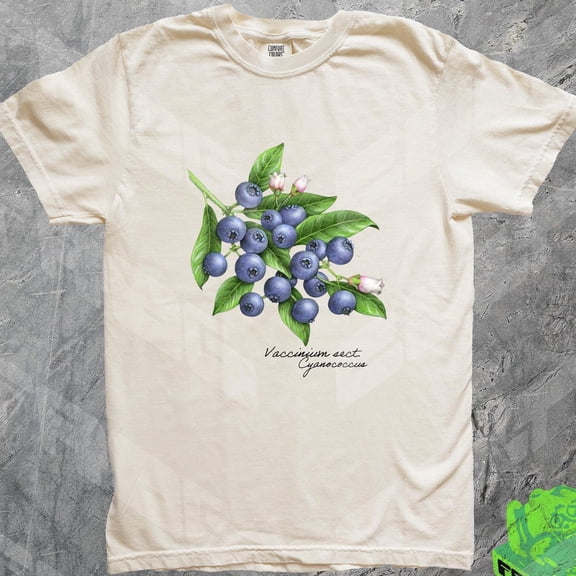 DOPASHIRT Botanical Blueberry Vintage Tshirt, Retro 90S Berries Shirt, Casual Tee For Her, Coquette Cottagecore Blueberry Summer, Fairy Core, Cute Garden Unisex S-5XL Hot Trending Shirt