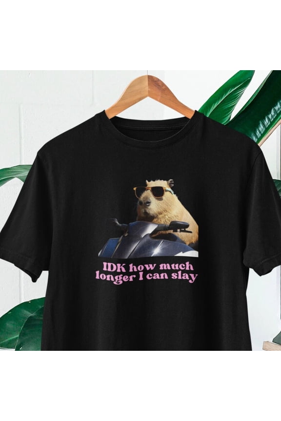 DOPASHIRT Idk How Much Longer I Can Slay T-Shirt, Slay T-Shirt, Funny Top, Tiktok Fans, Capybara Top, Funny Capybara Slay T-Shirt, Funny T-Shirt Unisex S-5XL Hot Trending Shirt, Vintage Birthday Gift