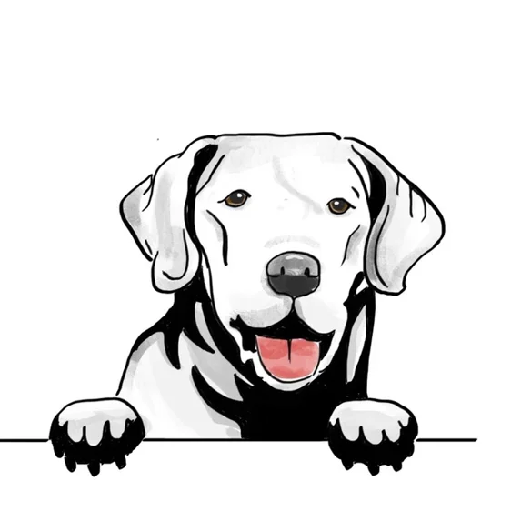 DOPASTICKER Akbash Dog Sticker Adopt Cute Dog Puppy Peeking Phone Decal ...