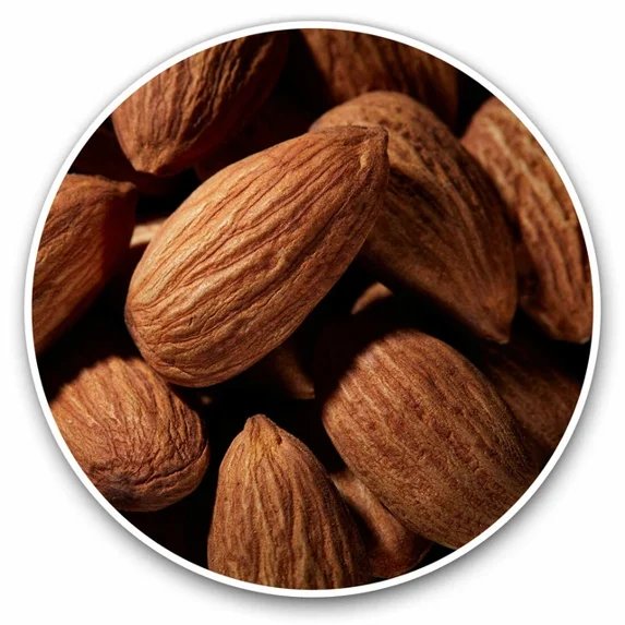 DOPASTICKER Almond Nut Nuts Healthy Eating Food Cool Gift Decorative ...