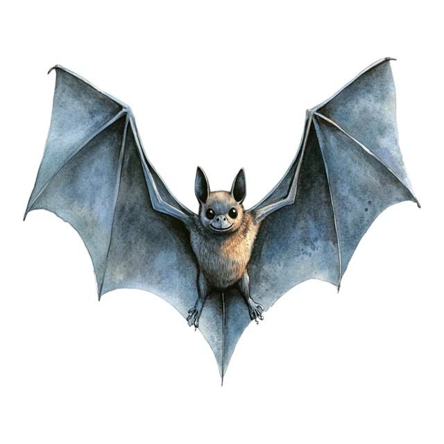 DOPASTICKER Bat Car Sticker Cute Watercolour Phone Sticker, Latop ...