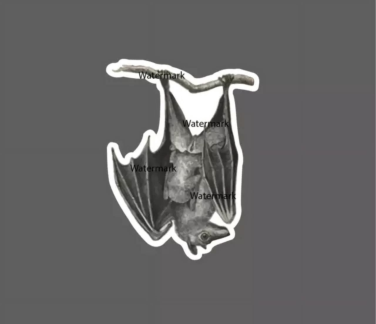 DOPASTICKER Bat Sticker Chilling Hanging In Cave Sticker Phone Sticker ...