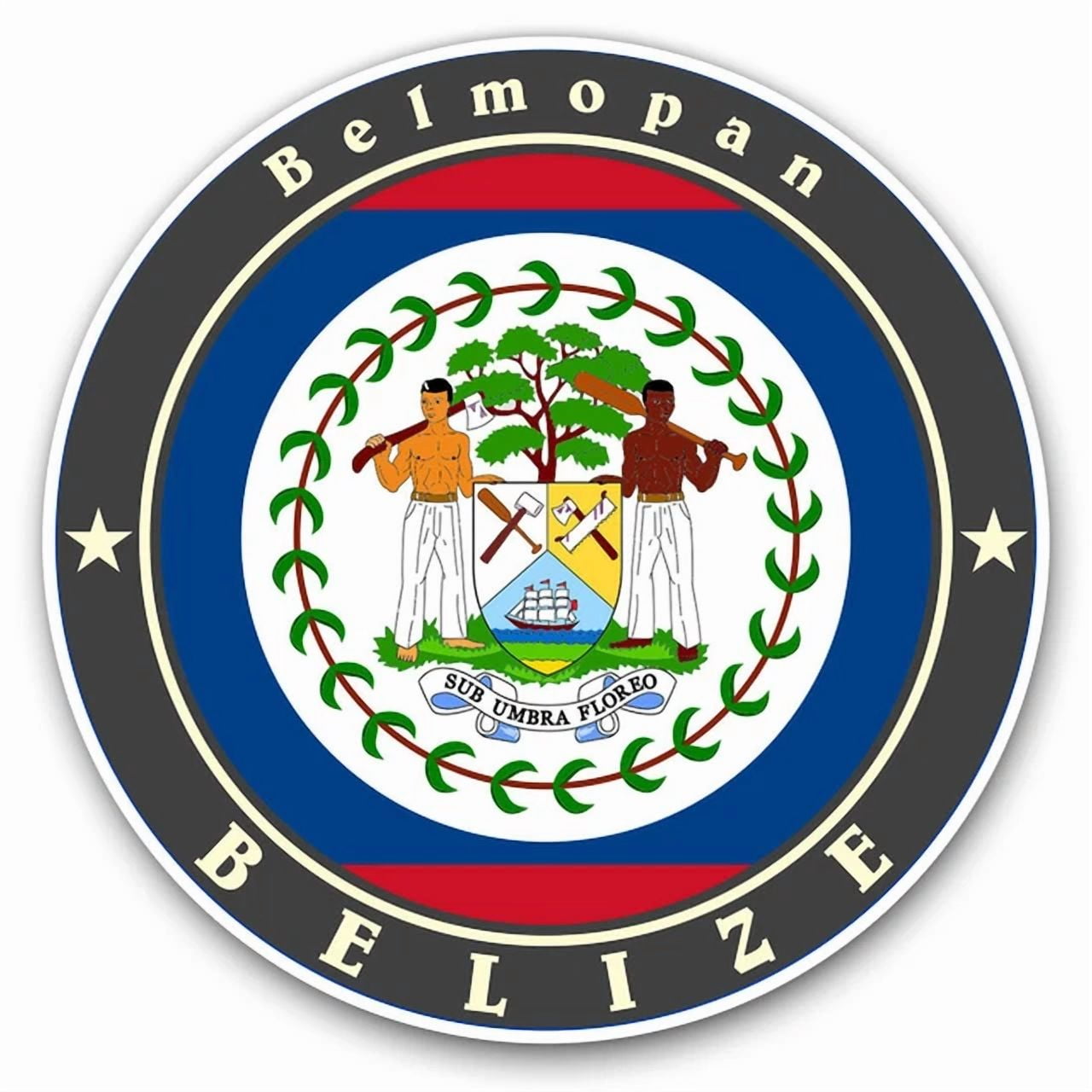 DOPASTICKER Belize Royal Blue Flag Travel Cool Gift Decorative Laptop ...