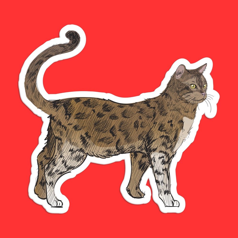 DOPASTICKER Bengal Cat Sticker, Spotted Bengal Cat Decal, Lifelike ...