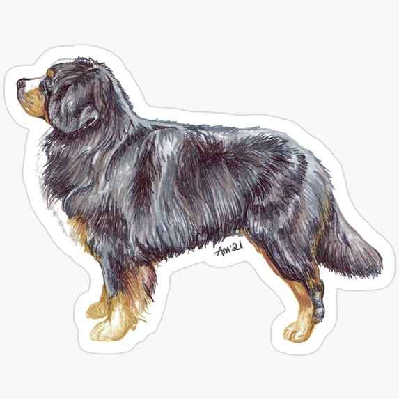 DOPASTICKER Bernese Mountain Dog Breed Show Stack Stand Sticker ...