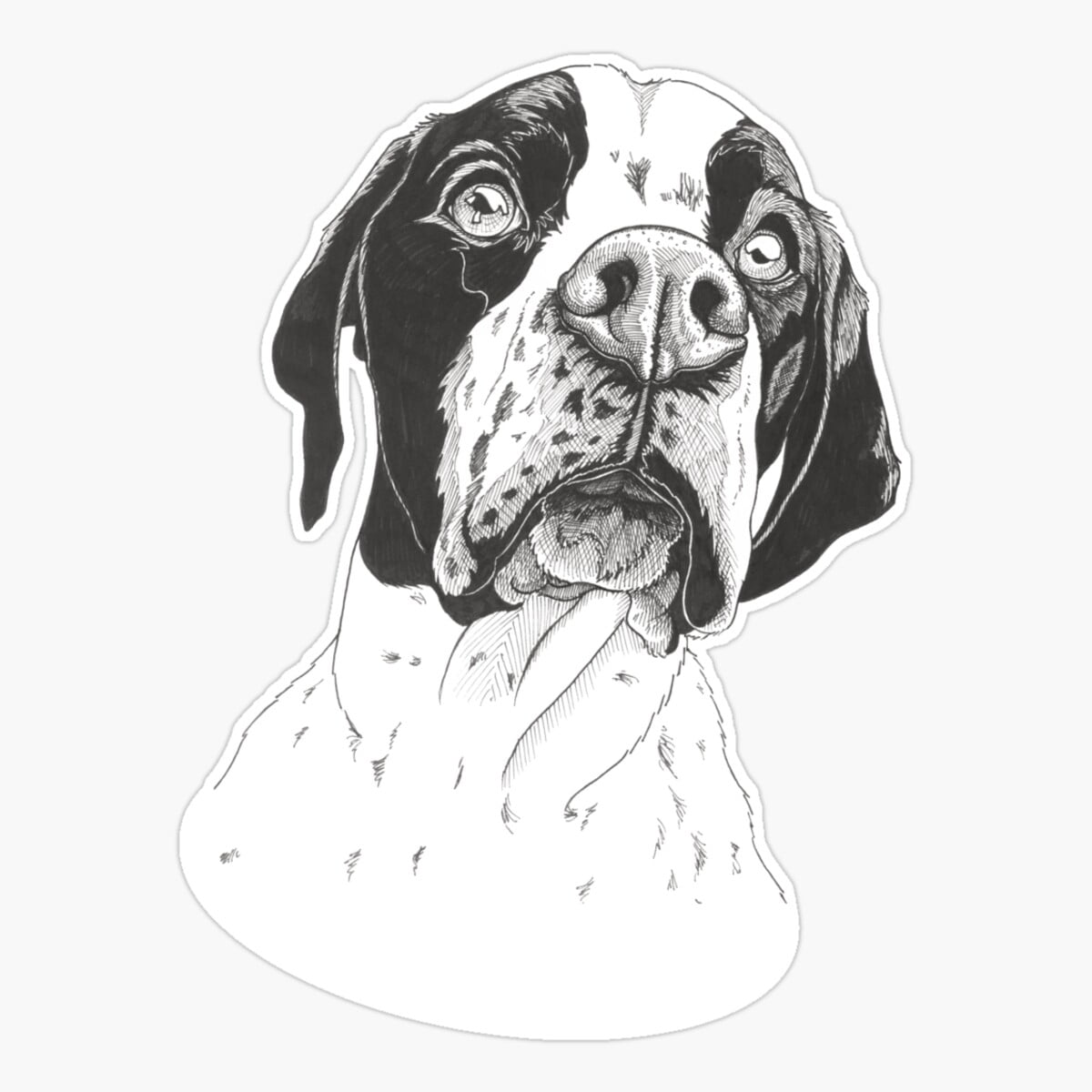 DOPASTICKER Black & White English Pointer Dog Sticker, Phone Sticker ...