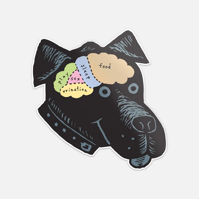 DOPASTICKER Brain Map Of A Dog - DOPASTICKER Brain Map Of A Dog Sticker Decal Phone Decal Water Bottle Stickers Cars Stickers Water Bottle Stickers For Kids 6314e658 6f96 4e52 9741 137df4fed7a0.96be1d647b2a193d88b1e0478549ae98.webp