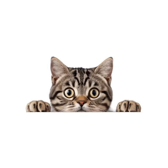 DOPASTICKER Car Sticker Peeking Cat Sticker Phone Sticker, Latop ...
