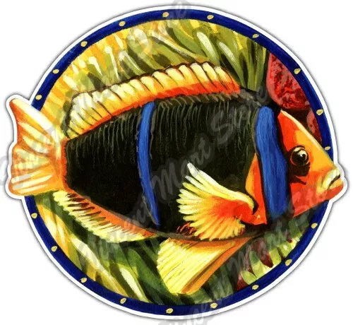 Dg Sticker Fish DOPASTICKER Clown Fish Sea Ocean Tropical Wild Life Car Sticker Decal ...