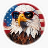 4th of july party car decal