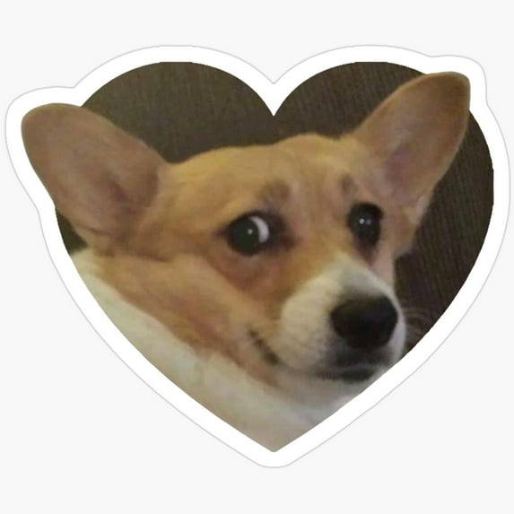 DOPASTICKER Doggo Stickers: Frightened Corg Sticker, Waterproof Decal ...