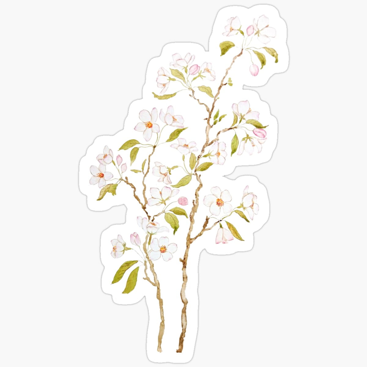 DOPASTICKER Elegant White Cherry Blossom Watercolor Sticker Birthday ...